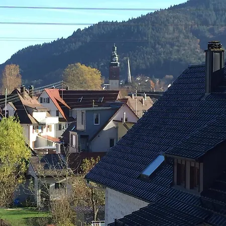 A Ray Of Hope With A View ハスラッハ・イム・キンツィクタール